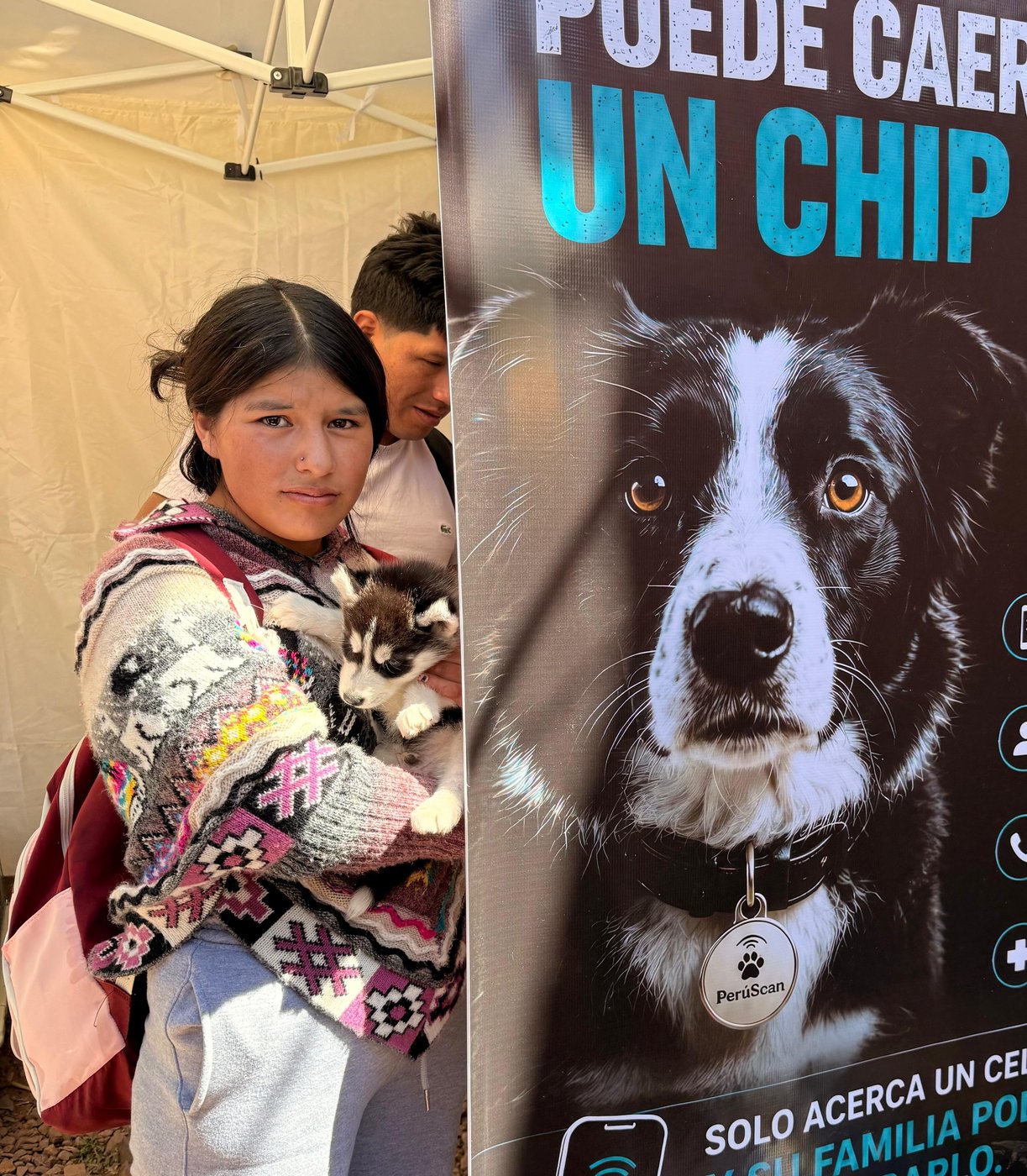 Mascota protegida con PerúScan